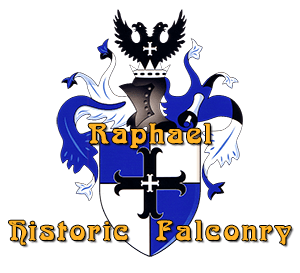 Raphael Historic Falconry arms