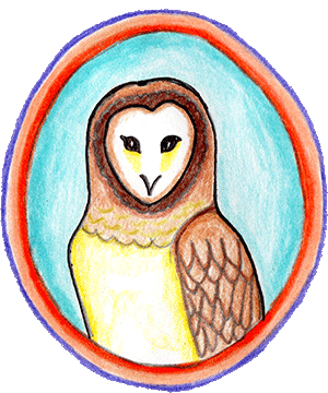 Drawing of an Owl