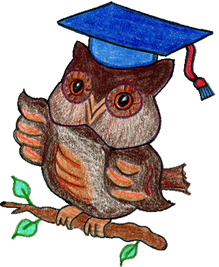 An Owl teacher image