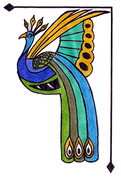 Decorative Peacock image