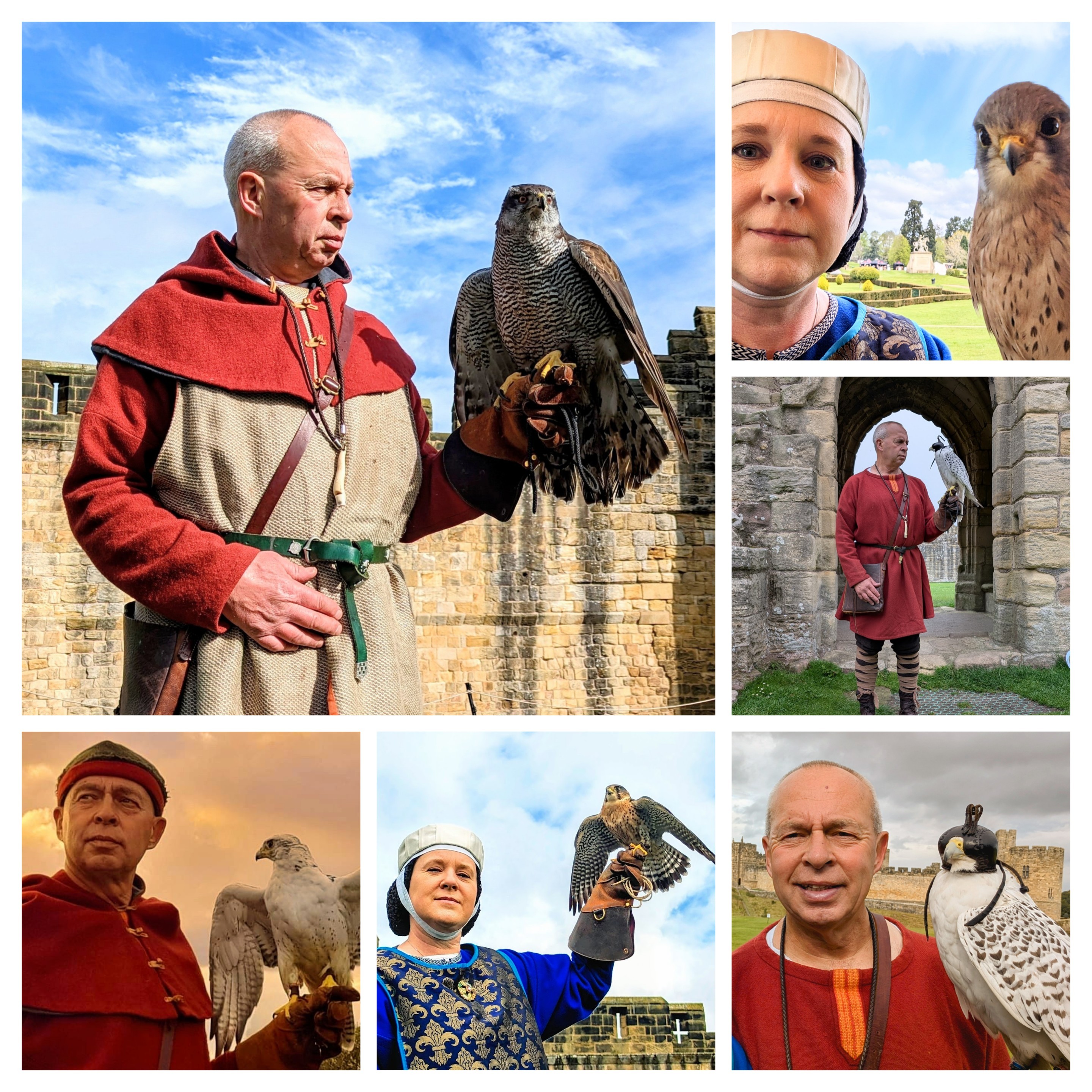 Early Medieval Falconry