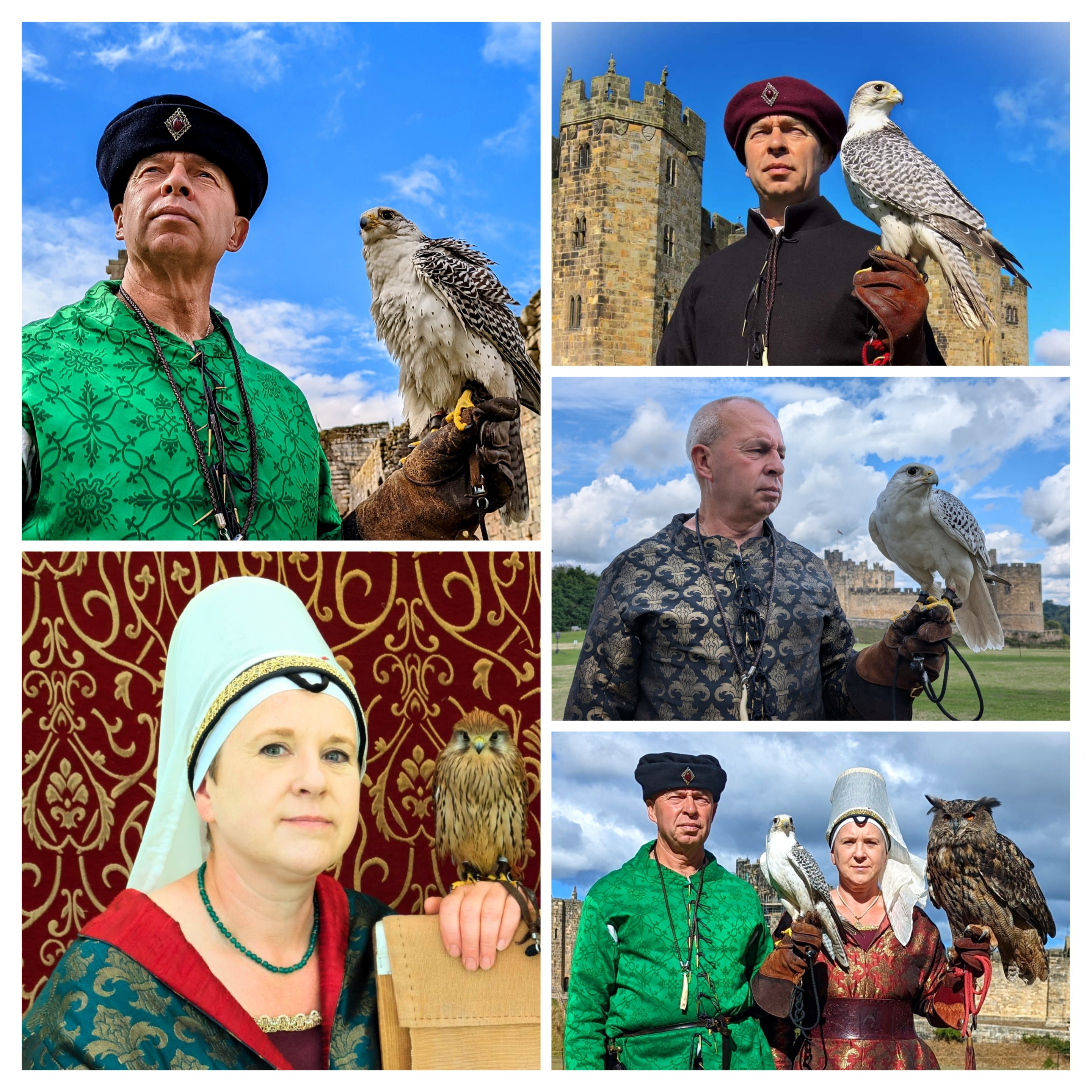 Late Medieval Falconry