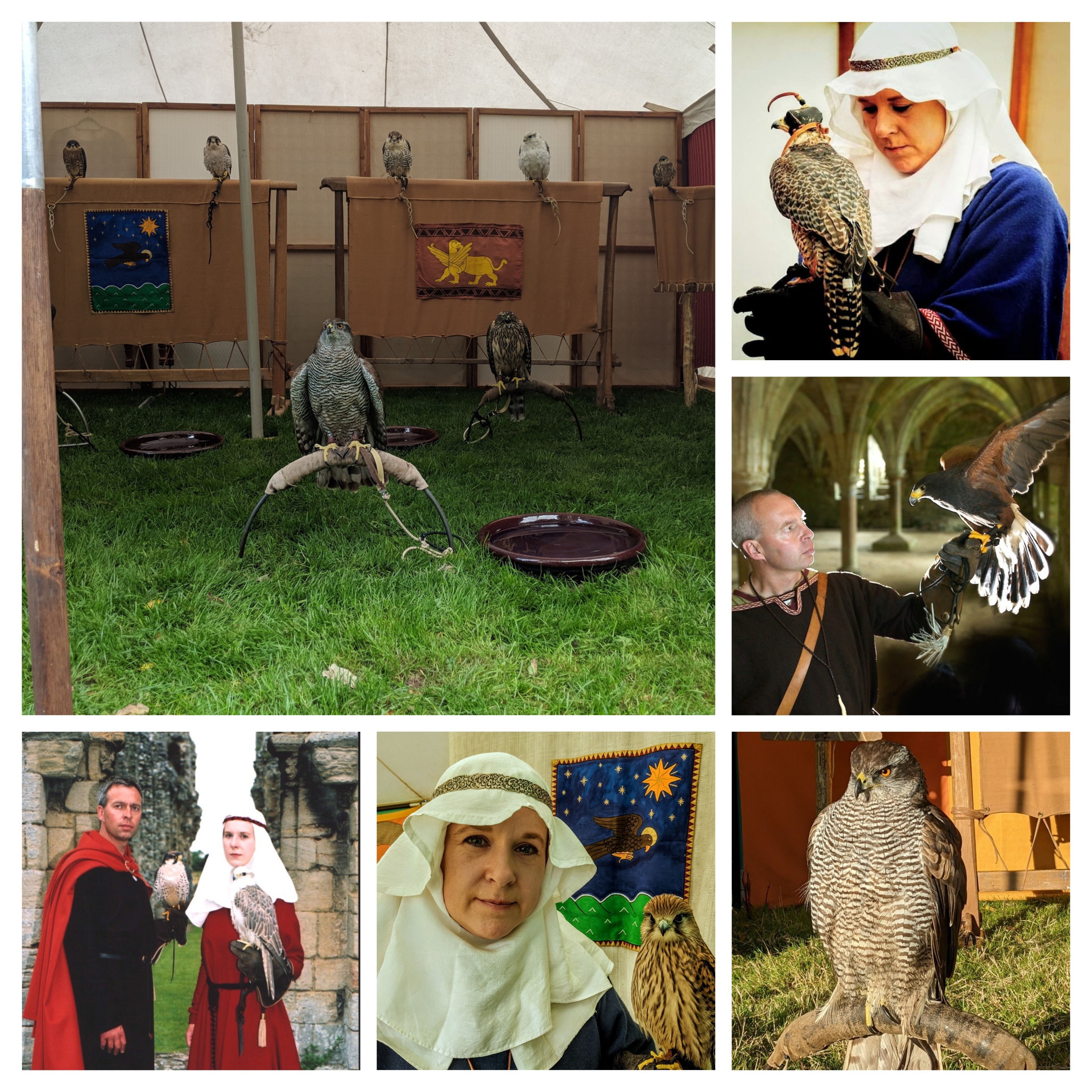 Saxon Falconry
