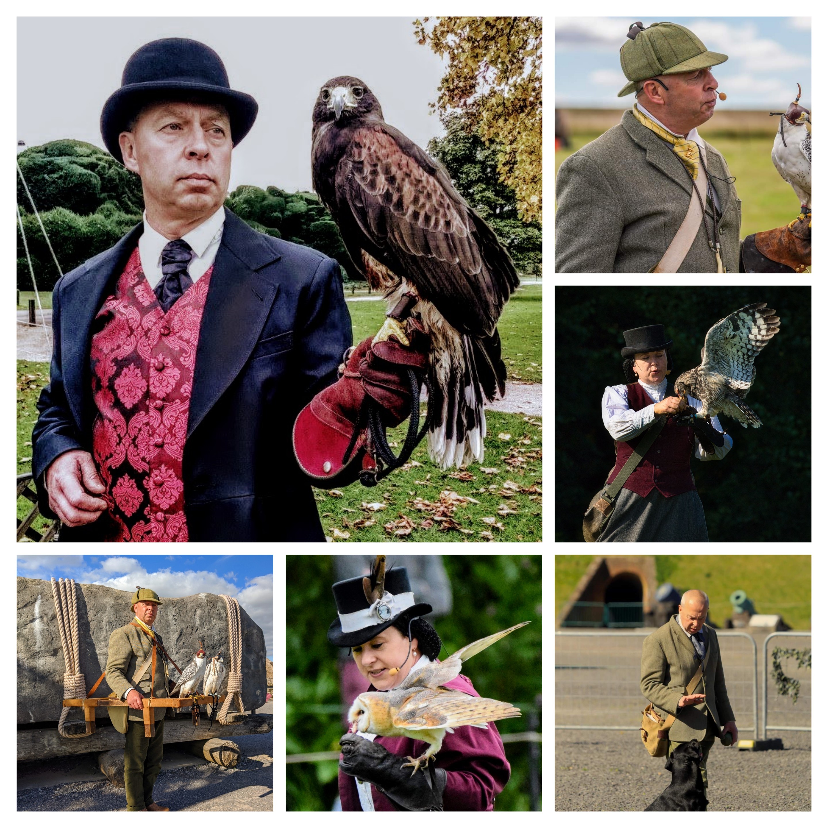 Victorian Falconry